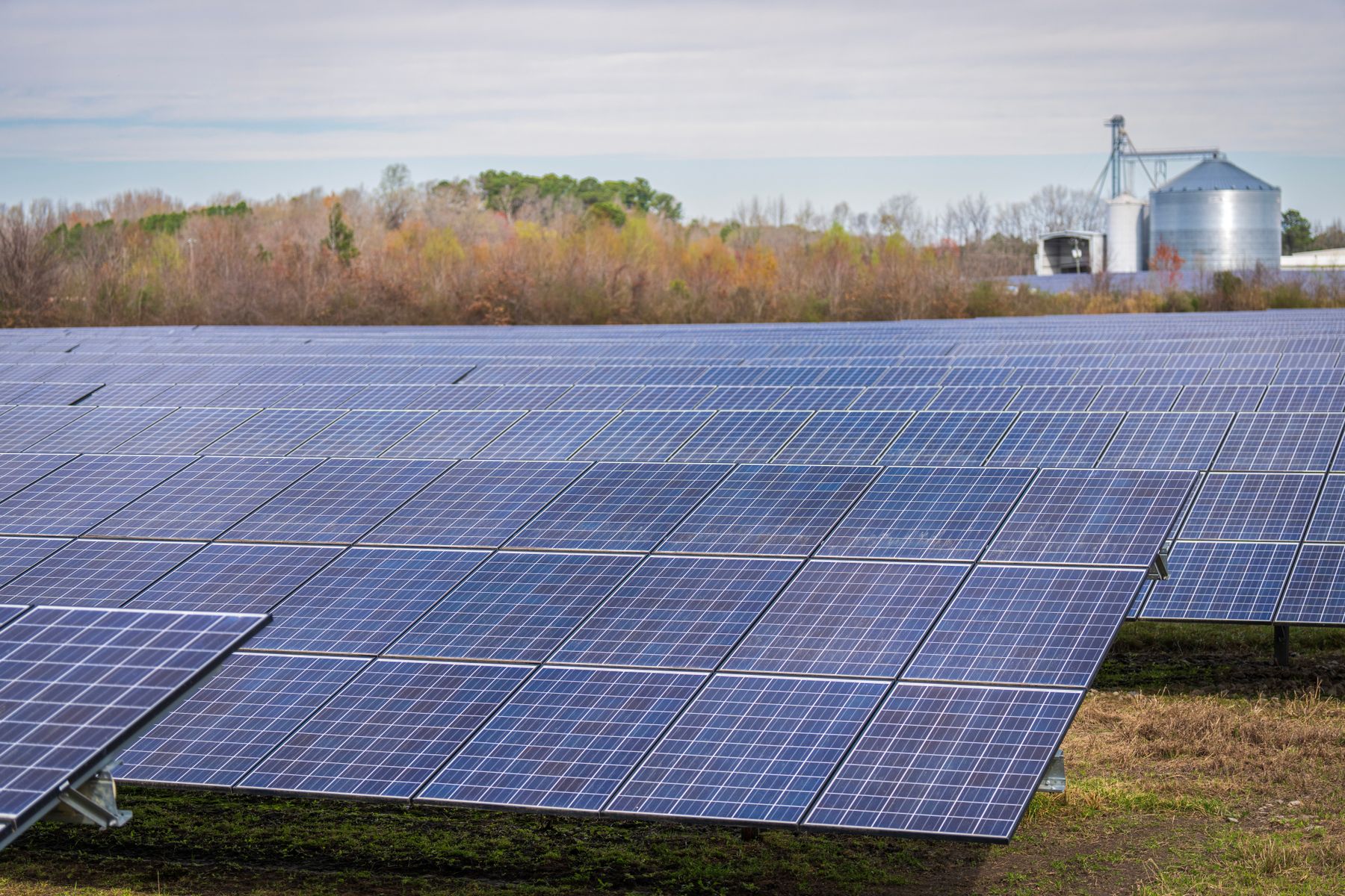 Paneles solares en una instalación de energía renovable